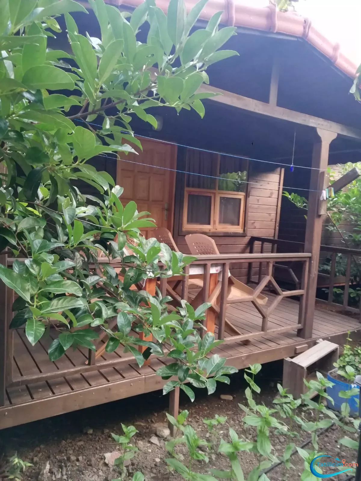 tatilcim.com Maldivler Bungalow Apart Evleri