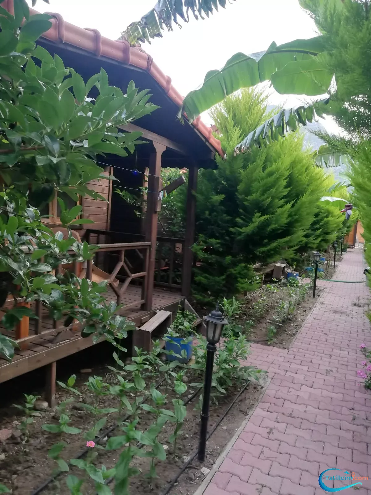 tatilcim.com Maldivler Bungalow Apart Evleri