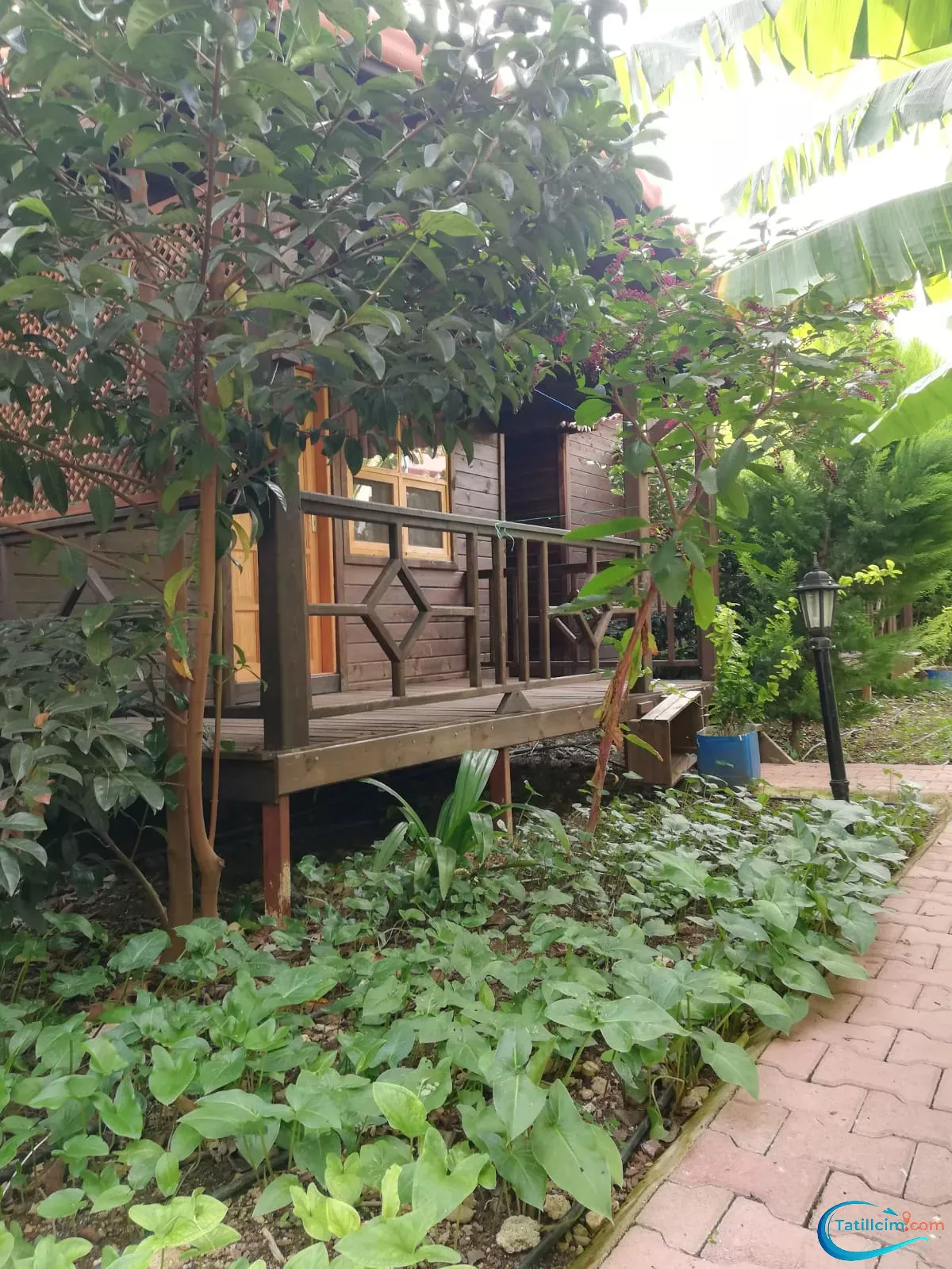 tatilcim.com Maldivler Bungalow Apart Evleri