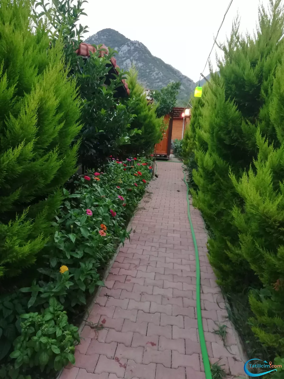 tatilcim.com Maldivler Bungalow Apart Evleri