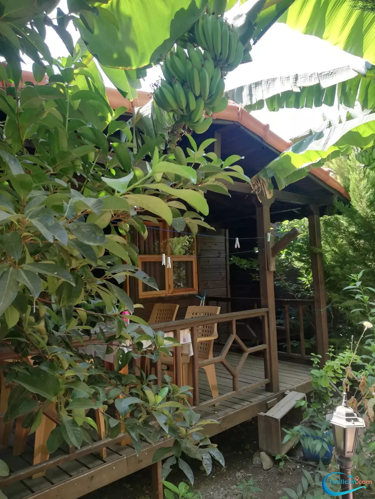 tatilcim.com Maldivler Bungalow Apart Evleri