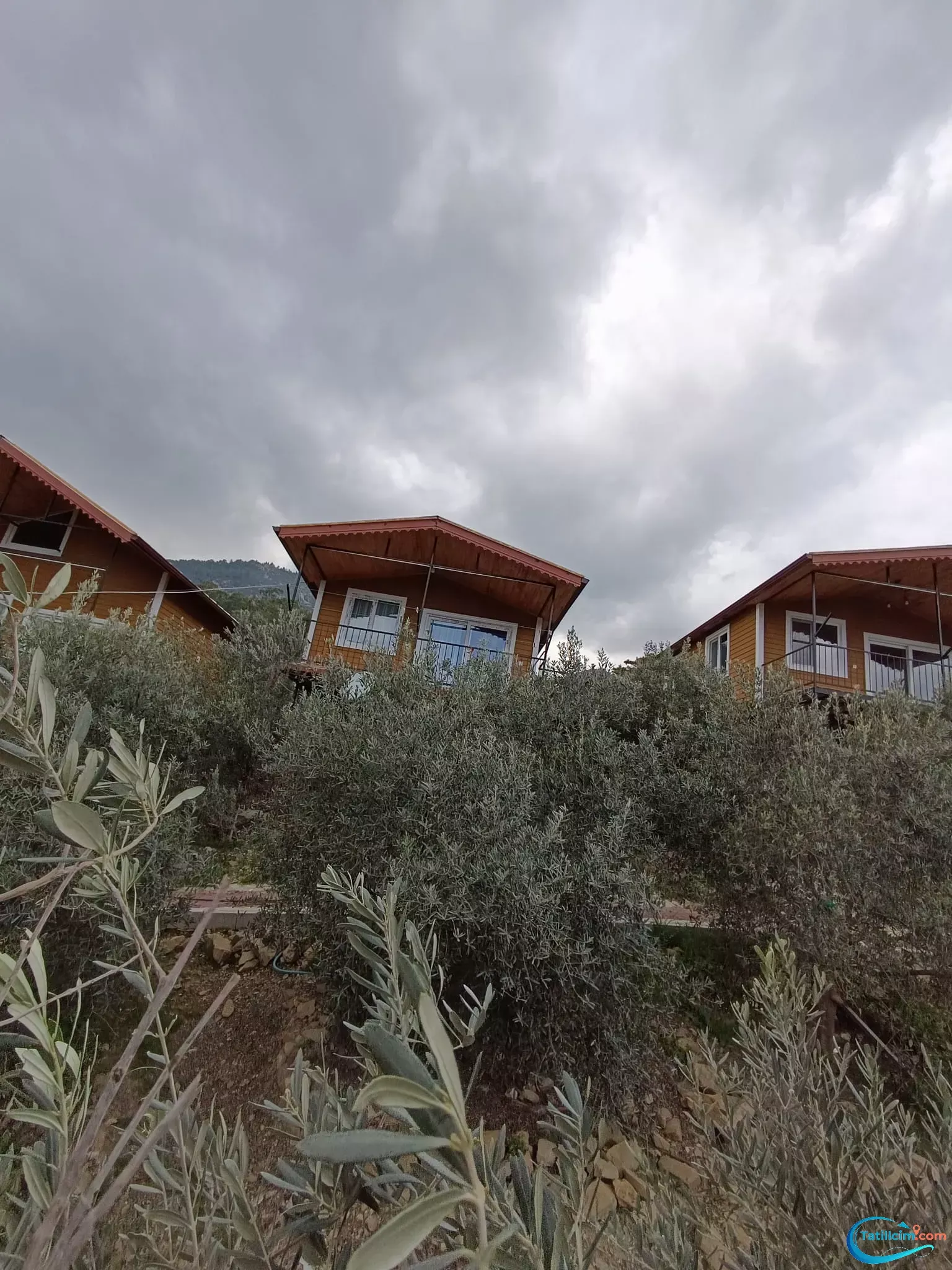 tatilcim.com Maldivler Bungalow Apart Evleri