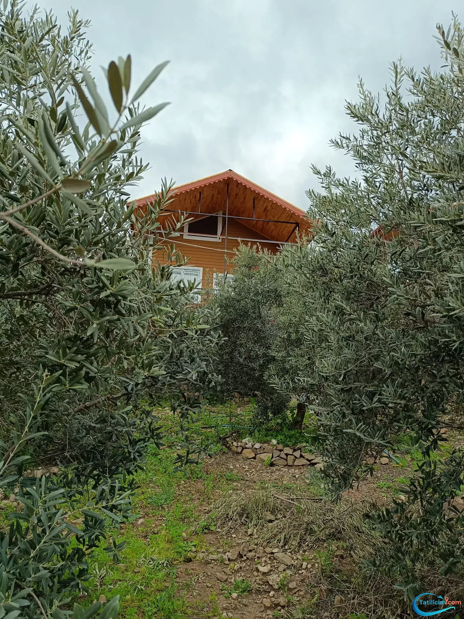tatilcim.com Maldivler Bungalow Apart Evleri